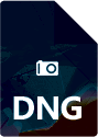 DNG